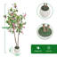 Faux Plant-1468371329