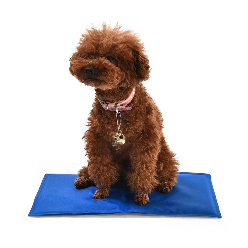 Pet Cooling Mat, Grand (l 23,59 po x P 19,69 po x H 1 po)
