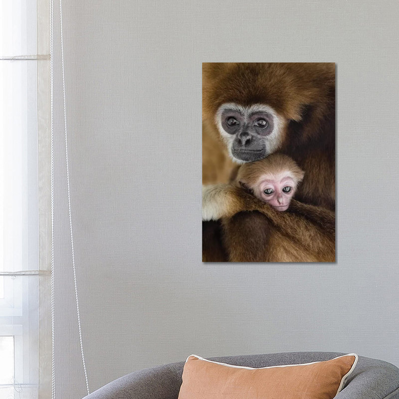 Gibons Love 1 Piece Wrapped Canvas Wall Art, 66.04 cm H x 45.72 cm W x 1.91 cm D