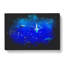 Oahu Sharks - Wrapped Canvas-56647760