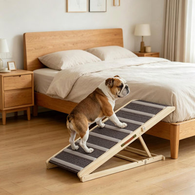 Rampe pliable pour animal de compagnie, rampe pour chat, rampe pour chien