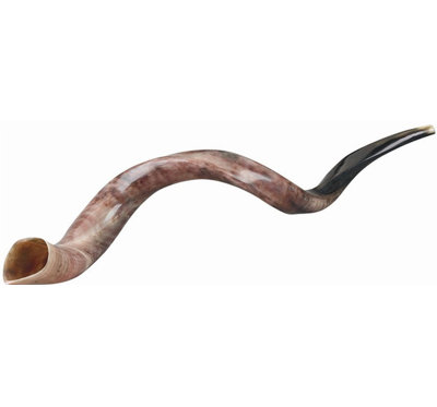 Kudu Horn