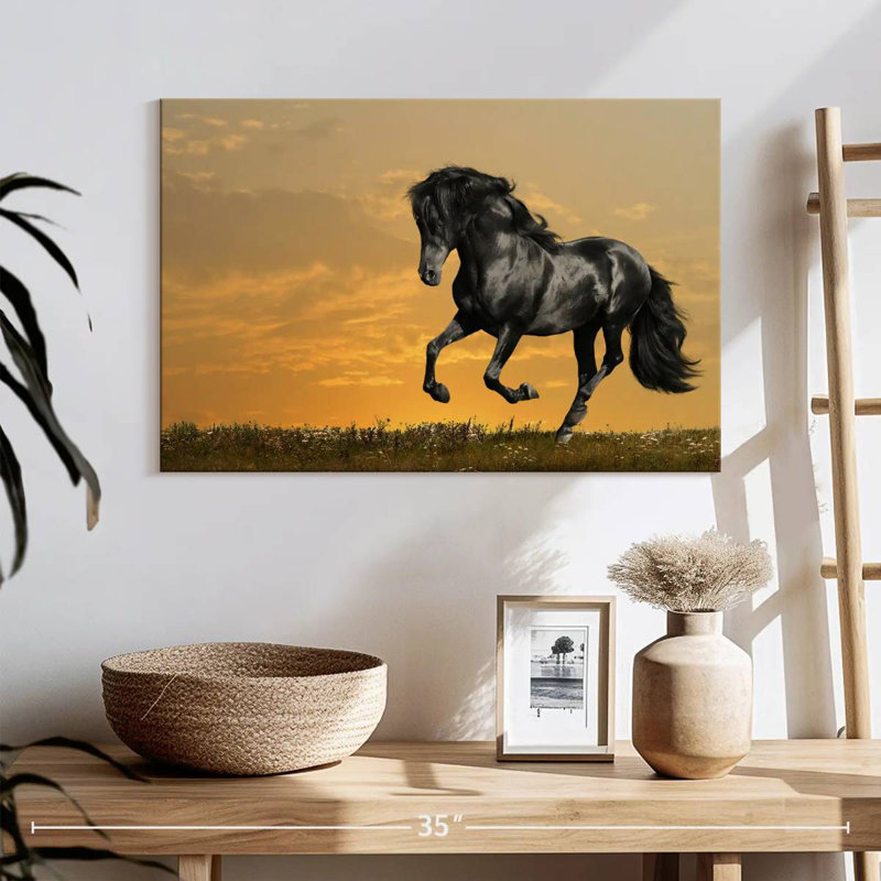 Cheval noir Brampt au coucher du soleil, H 16 po x l 24 po