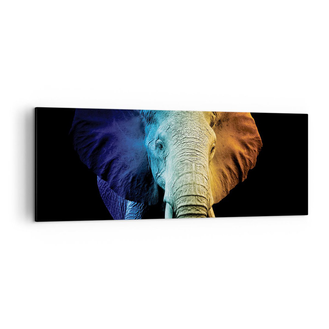 Leinwandbild Colorful Elephant