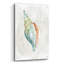 «Pastel Shell II» par Carol Robinson-1315524731