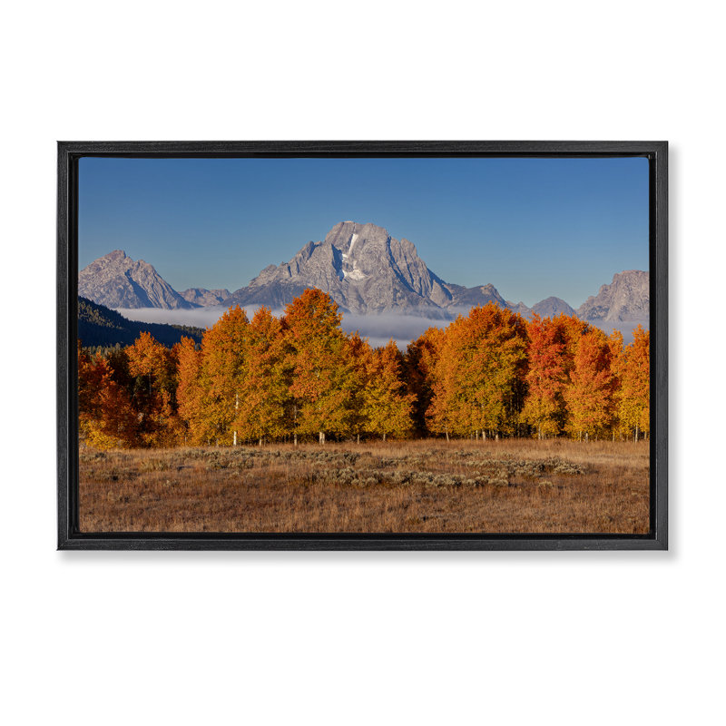 Ligne d'arbre d'automne avec cadre flottant de montagne, design par Shelley Carlisle, H 17 po x l 25 po