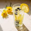 LAV - Brit Highball Glasses