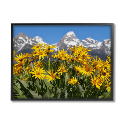 «Daisy Meadow & Mountains» encadré sur bois par Daniel Sproul