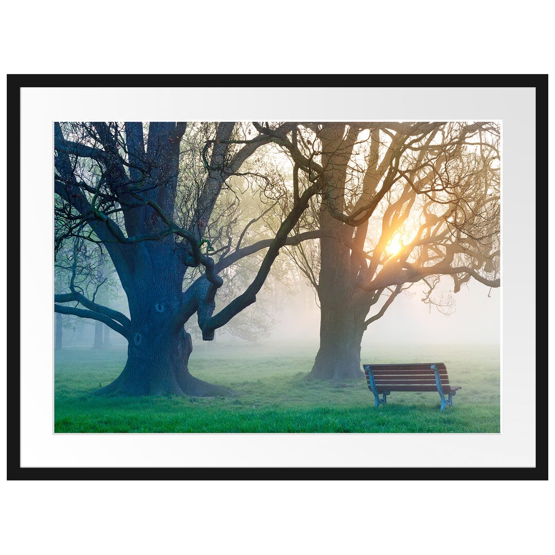 Gerahmtes Poster Baum und Bank im Nebel