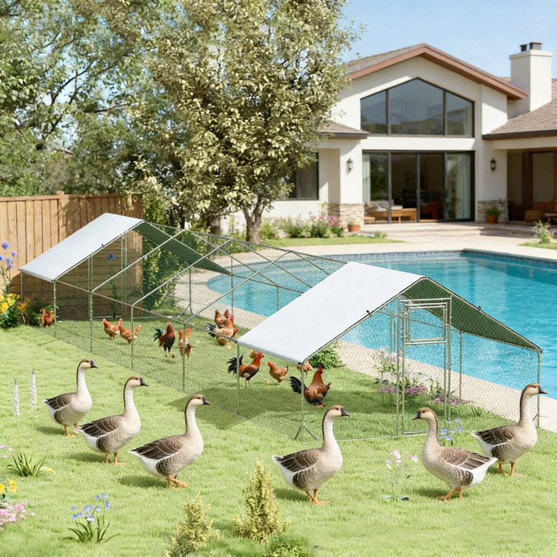 Grande maison pour animaux de compagnie, poulailler, poulailler extérieur, maison pour canards