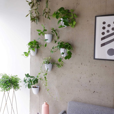 Ensemble de 6 pots à fleurs à arrosage automatique Pod Luxe