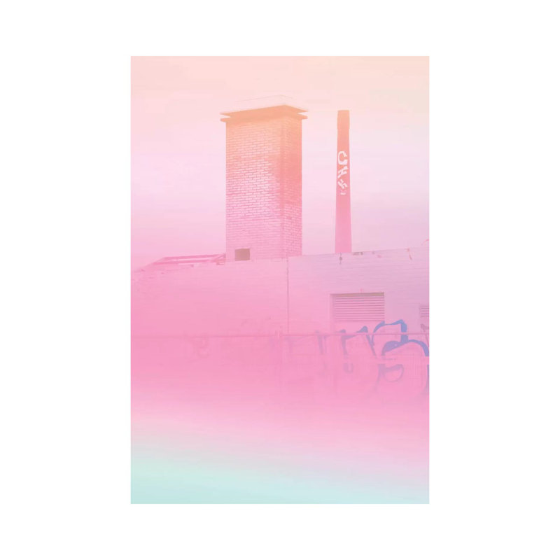 Concrete Flowers And Graffiti by Beli - Wrapped Canvas Painting, 101.6 cm H x 66.04 cm W x 3.175 cm D