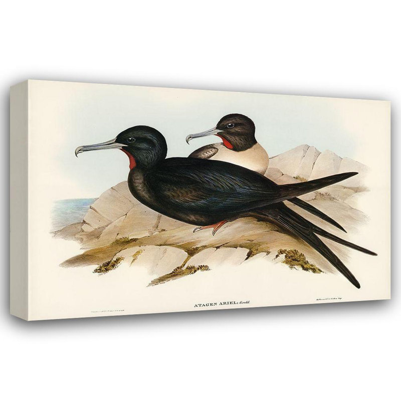 Art sur toile tendue avec la galerie «Astoria Grand Gould, John»: petite frégate - Ariel 65321, H 33 po x l 48 po
