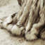 Gradin Bleached Finn Blanket-33396262