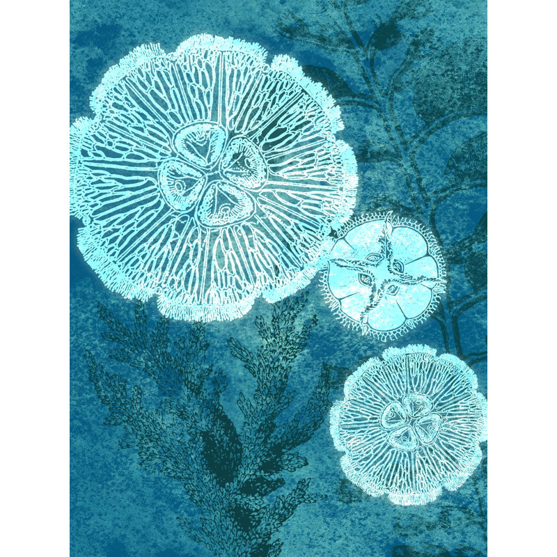 Jelly Fish - impression sur toile tendue, H 24 po x l 18 po
