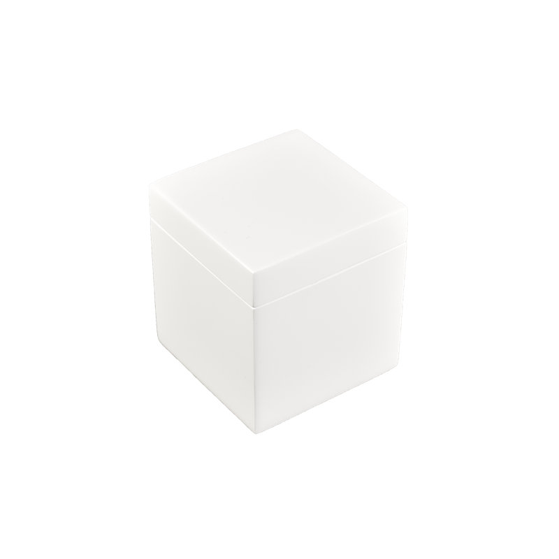 Contenant de rangement en coton-tige, Blanc