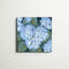 «Blue Hydrangeas II», peinture sur toile-1550081994-1550081996