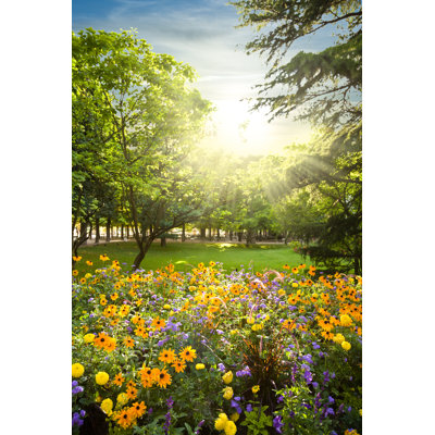 " Parterre Plenty Of Flowers Rounded By Trees "