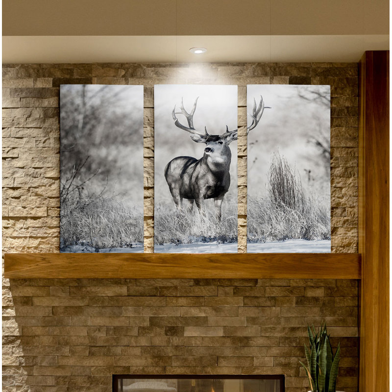 Rocky Mountain Lookout - reproduction de photo sur toile, H 32 po x l 48 po x P 1,5 po