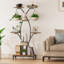 Plant Stand - Set of 8
