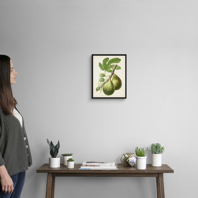 Antique Fruit IV - reproduction d'art sur toile, Cadre flottant noir, H 15,7 po x l 12,7 po x P 1,75 po