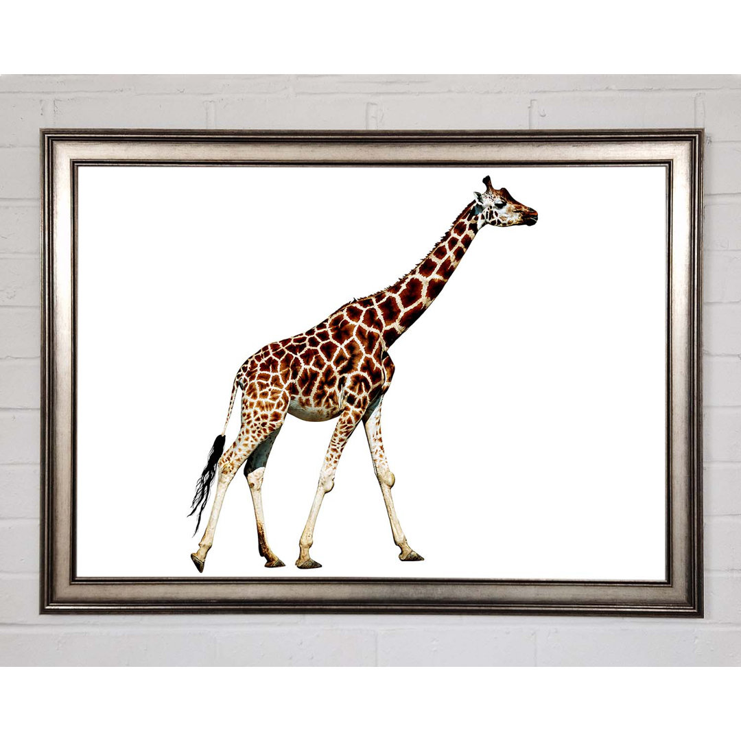 Giraffe Walk - Druck