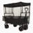 Collapsible Wagon with Canopy-112369139