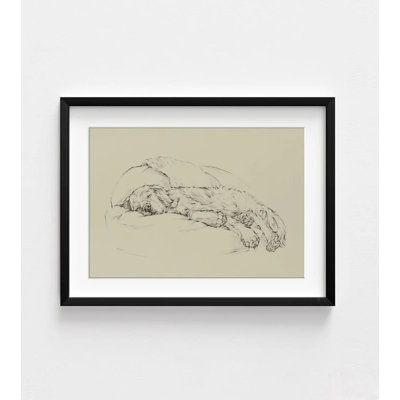 Golden Sketch I By Ethan Harper, Puppy Themed Bedroom Illustration Print, Cute Dog Sketch Wall Art, Pet Sket Decor Idea
