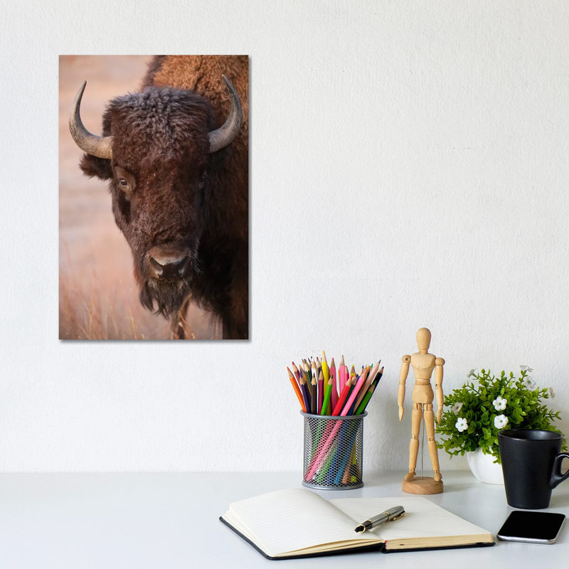 A Bison On A Ranch Near Valentine, Nebraska by Joel Sartore - Gallery-Wrapped Canvas Giclée on Canvas, Canvas