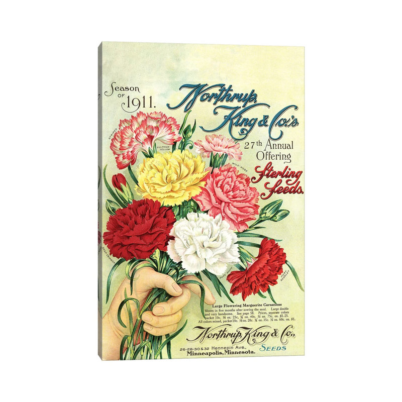 Sterling Seeds, 1911, From The Andersen Horticultural Library by Piddix - Print on Canvas, Wrapped Canvas