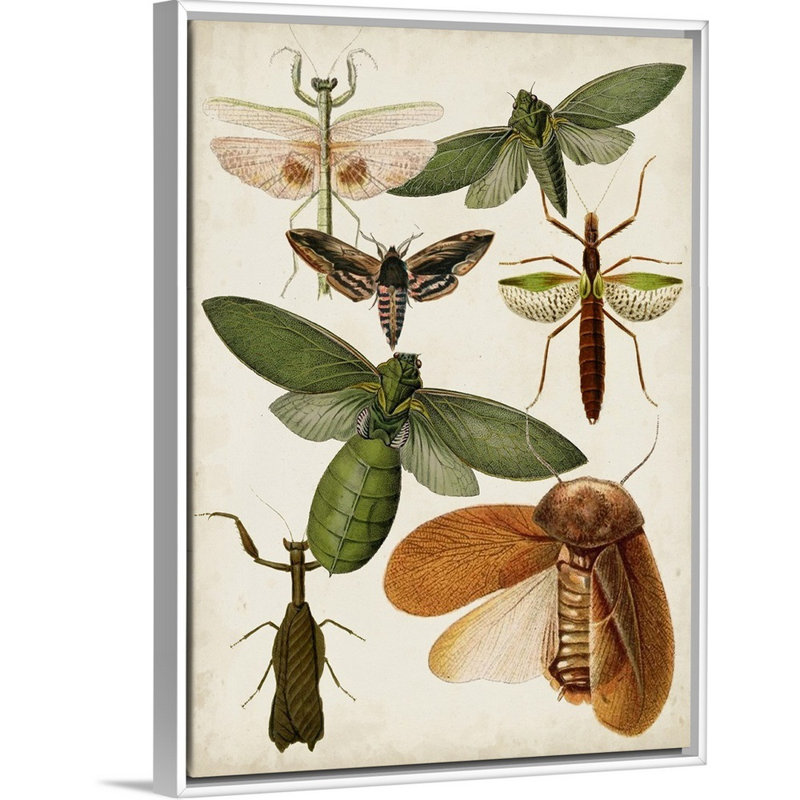 « flying bugs kids », art encadré, Cadre pour toile flottant blanc, H 24 po x l 18 po x P 1,2 po