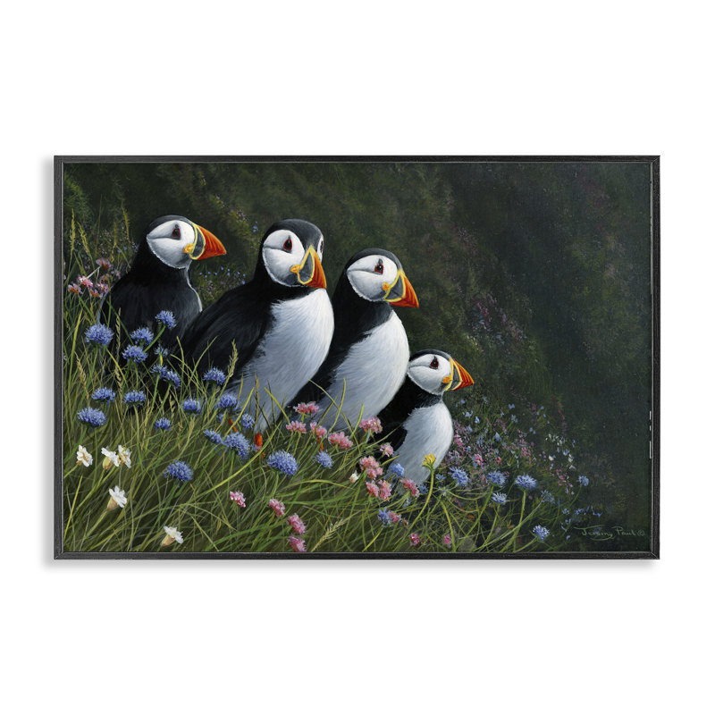 «Puffins & Wild Flowers», estampe numérique, conception de Jeremy Paul, H 12 po x l 18 po, Giclée encadrée noir minuit