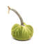 Chartreuse Silk Velvet Pumpkin-2106479021