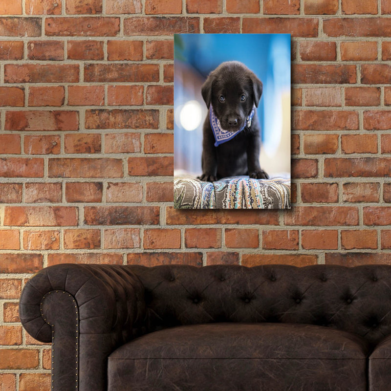 «Black Lab Pup 12» par Jonathan Ross, H 24 po x l 16 po x P 0,2 po