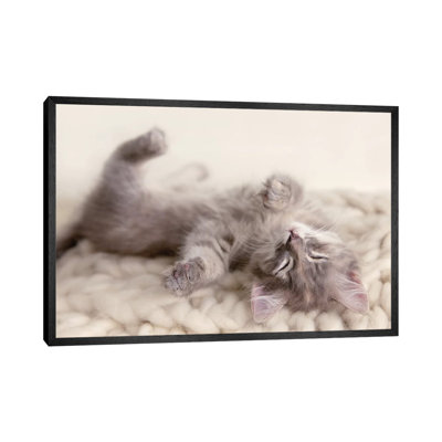 Carmella 1 Piece Wall Art on Canvas