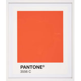 Color Swatch Print