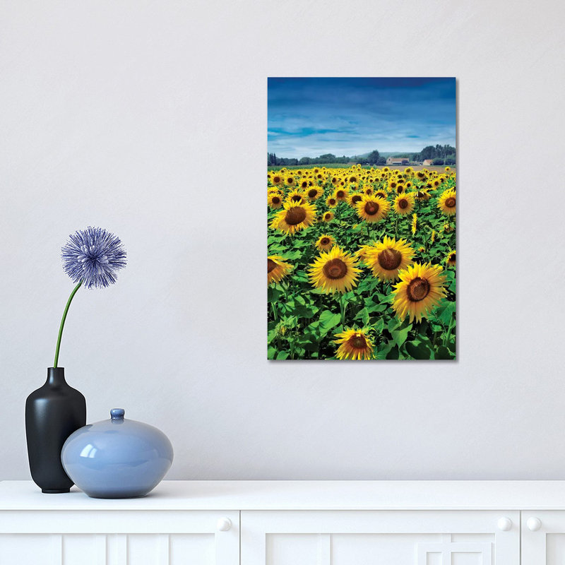 Turn Your Face To The Sun by Ben Heine - Print on Canvas, 30.48 cm H x 45.72 cm W, Wrapped Canvas
