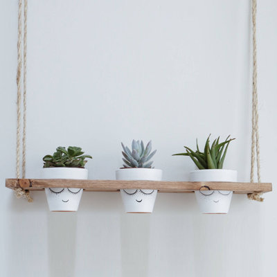 Solid Wood Floating Shelf with Adjustable Shelves