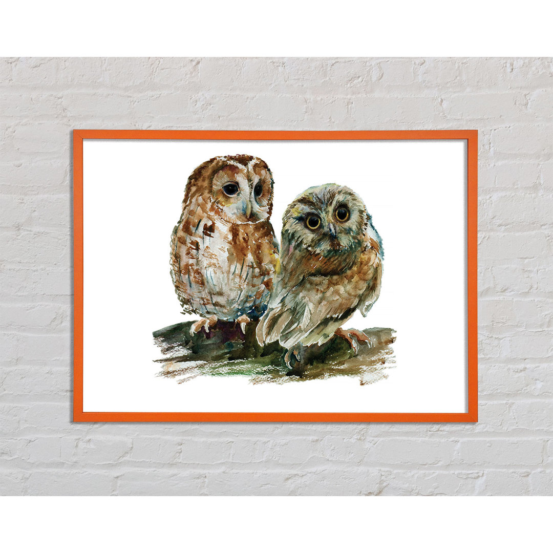 Redmayne Barred Owl Duo - Einzelner Bilderrahmen Kunstdrucke