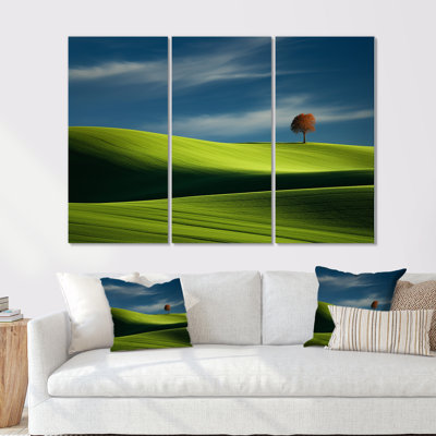 «Green», Meadow