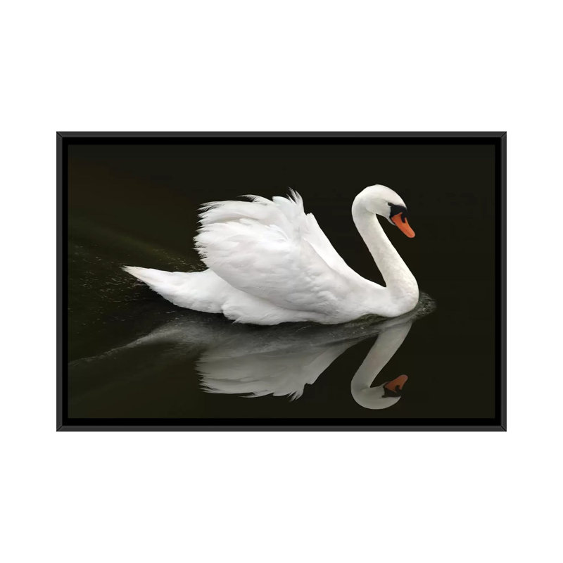 « Swan » par Ben Heine-reproduction de photo, Toile avec cadre noir, Pas de tapis, H 18 po x l 26 po x P 1,5 po