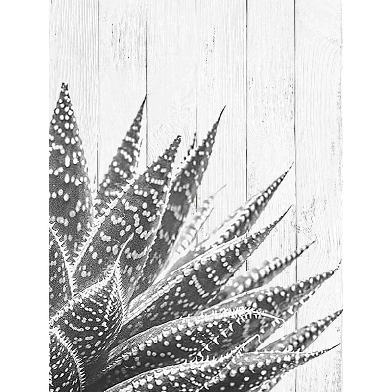 Chertsey Agave-III sur planche sur toile, H 16 po x l 12 po x P 1 po