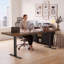Bureau assis-debout électrique en L Sterling Executive avec caisson mobile, bureau réglable en hauteur avec rangements modulaires et système de gestion des câbles