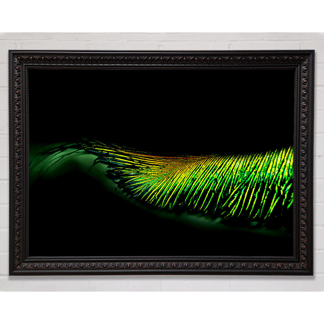 Vibrant Green Feather - Druck