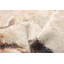 Rosette Ivory Rug-2074773666
