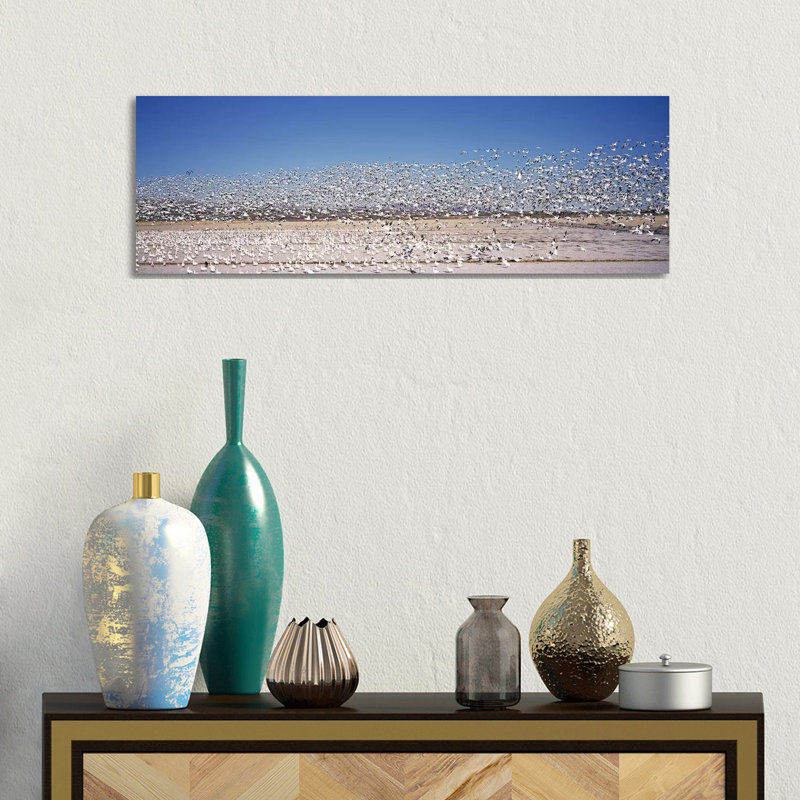 Flock Of Snow Geese Flying, Bosque Del Apache National Wildlife Reserve, Socorro County, New Mexico, USA - Wrapped Canvas Panoramic Print