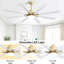 Ventilateur de plafond à profil bas de 66 pouces avec lumières à intensité variable et télécommande intelligente 6 vitesses-1751435687-1751435681