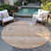 Nache Washable Southwestern Indoor / Outdoor Rug