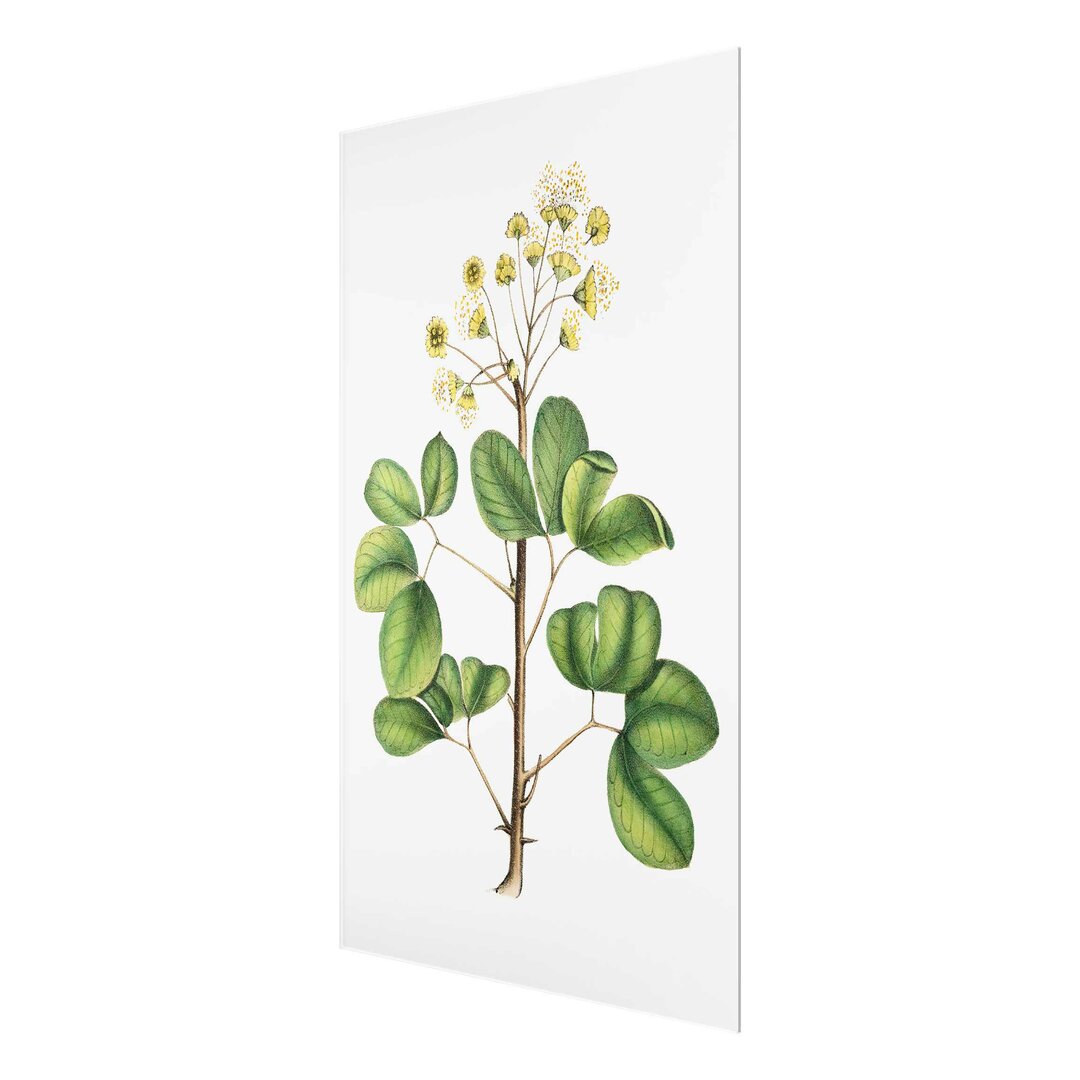 Glasbild Laub mit Blumen IV