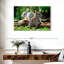 Lapins de jardin Brampt-108733649